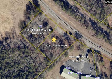 Lake Murray Commercial For Sale in Chapin South Carolina