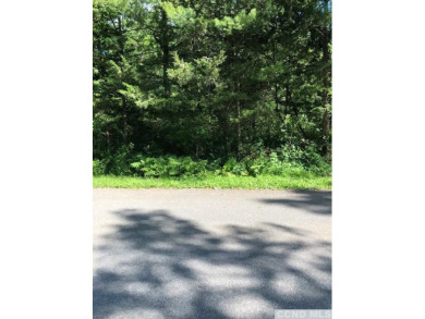 Double Combined Building Lot @ Sleepy Hollow Lake that abuts - Lake Lot For Sale in Athens, New York