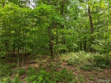 Lake Acreage For Sale in Innsbrook, Missouri