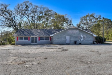 Lake Commercial For Sale in Lincolnton, Georgia