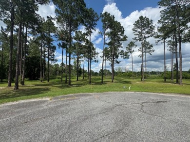 (private lake, pond, creek) Lot For Sale in Poulan Georgia