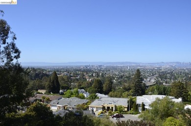 Rare opportunity to acquire a 12,308 sq ft hillside lot in - photo 1