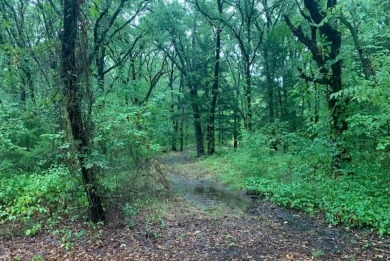 Lake Tawakoni Lot For Sale in Quinlan Texas