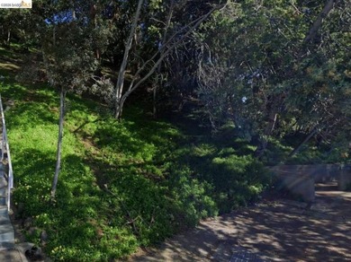 Rare opportunity to acquire a 12,308 sq ft hillside lot in - photo 4