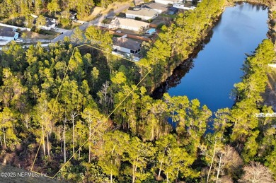 Experience the best of both worlds with 1.04 acres of lakefront - photo 4