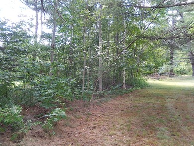 Surveyed, Corner Lot with 153' frontage on busy, U.S. Rt. 1 and - photo 5
