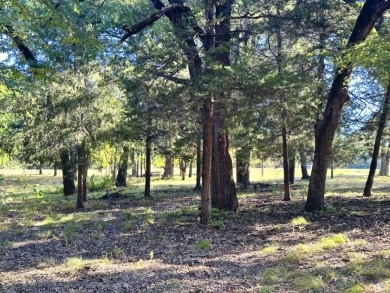 Off Water Lake lot with Hugh Shade Tree Canopy - photo 15