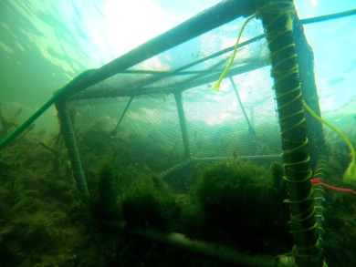 YOU CAN HELP SAVE THE FLORIDA KEYS REEFS..!! THIS 20 ACRE PARCEL - photo 33