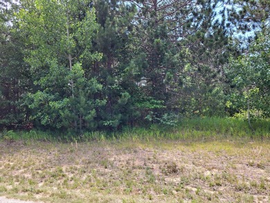 Build your dream home with views of the fairway and a return tee - photo 1