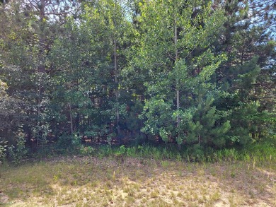 Build your dream home with views of the fairway and a return tee - photo 3