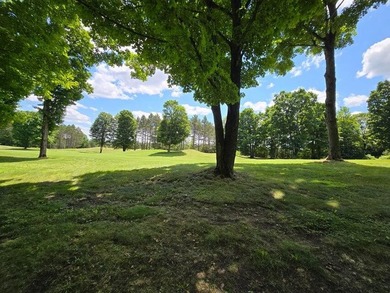 Build your dream home with views of the fairway and a return tee - photo 5
