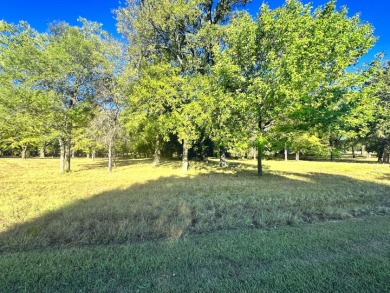 Off Water Lake lot with Hugh Shade Tree Canopy - photo 18