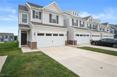 Lake Townhome/Townhouse For Sale in Aurora, Ohio