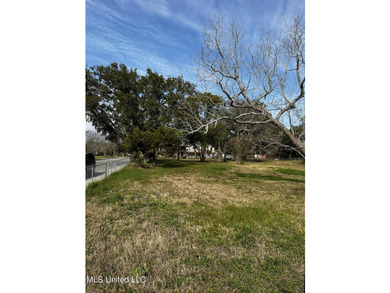 Beautiful vacant corner lot, can be yours to build. Motivated - photo 4