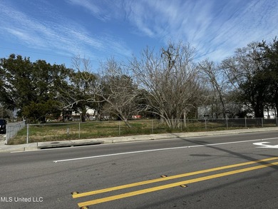 Beautiful vacant corner lot, can be yours to build. Motivated - photo 8
