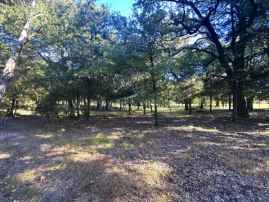 Off Water Lake lot with Hugh Shade Tree Canopy - photo 5