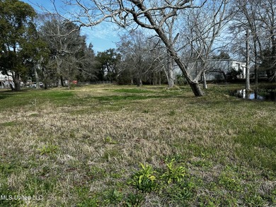 Beautiful vacant corner lot, can be yours to build. Motivated - photo 9