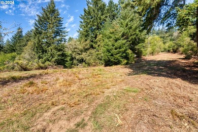 EXTREMELY RARE. 16.85 acres undeveloped and inside the city - photo 11