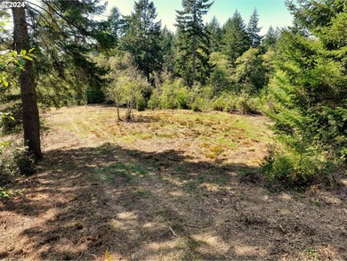 EXTREMELY RARE. 16.85 acres undeveloped and inside the city - photo 12