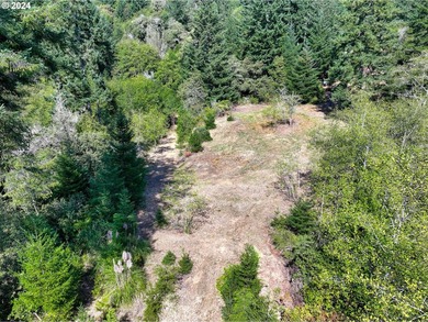 EXTREMELY RARE. 16.85 acres undeveloped and inside the city - photo 13