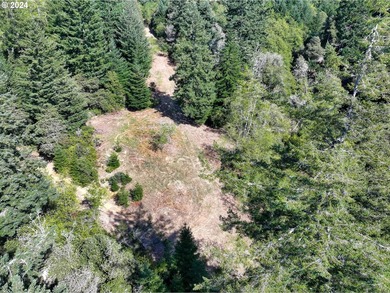 EXTREMELY RARE. 16.85 acres undeveloped and inside the city - photo 15