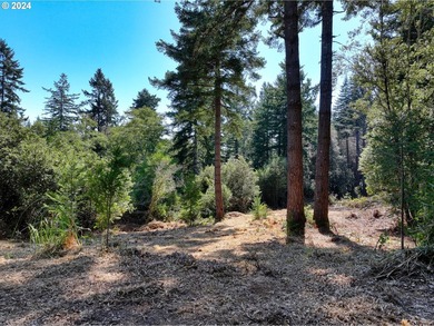 EXTREMELY RARE. 16.85 acres undeveloped and inside the city - photo 18