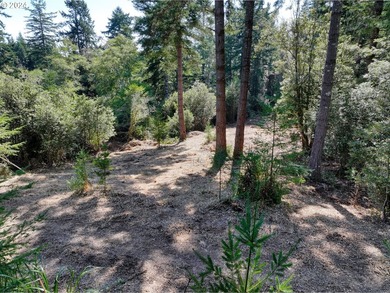EXTREMELY RARE. 16.85 acres undeveloped and inside the city - photo 19