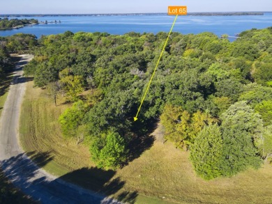 Off Water Lake lot with Hugh Shade Tree Canopy - photo 19
