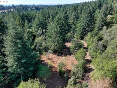 EXTREMELY RARE. 16.85 acres undeveloped and inside the city - photo 20