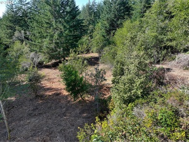 EXTREMELY RARE. 16.85 acres undeveloped and inside the city - photo 21