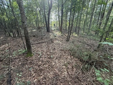 Escape to your own private retreat on approx. 7.5 unrestricted - photo 23