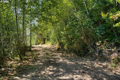 EXTREMELY RARE. 16.85 acres undeveloped and inside the city - photo 26