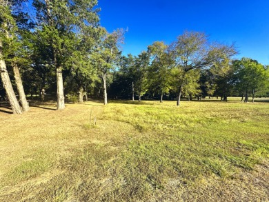 Off Water Lake lot with Hugh Shade Tree Canopy - photo 14