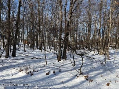 Indian Mountain Lakes Lot Sale Pending in Albrightsville Pennsylvania