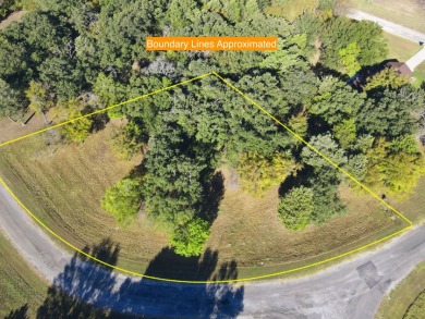 Off Water Lake lot with Hugh Shade Tree Canopy - photo 6