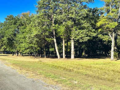 Off Water Lake lot with Hugh Shade Tree Canopy - photo 16