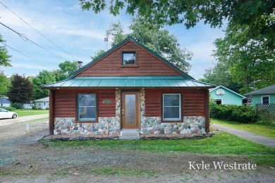 Lake Home For Sale in Stanton, Michigan