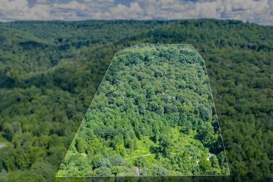 Lake Acreage Sale Pending in Sparta, Tennessee