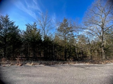 Table Rock Lake - Carroll County Lot For Sale in Holiday Island Arkansas