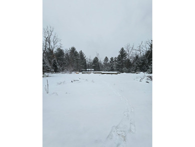 Houghton Lake Lot For Sale in Prudenville Michigan