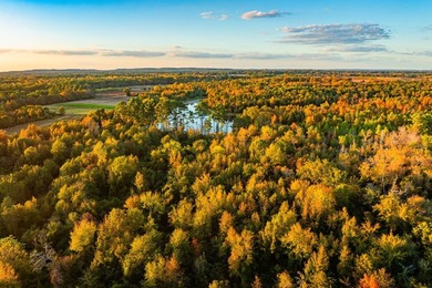 Lake Palestine Ranch is a rare offering, being the largest - photo 24