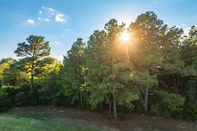 Lake Palestine Ranch is a rare offering, being the largest - photo 29