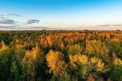 Lake Palestine Ranch is a rare offering, being the largest - photo 36