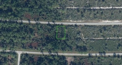 (private lake, pond, creek) Lot For Sale in Sebring Florida