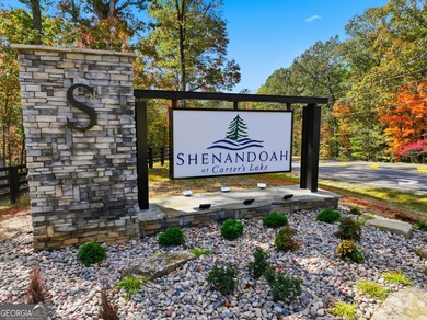 Carters Lake Acreage For Sale in Ellijay Georgia