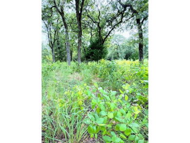 Great water view lot with so much potential at desirable Hilltop - photo 3