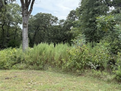 Great water view lot with so much potential at desirable Hilltop - photo 4