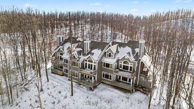 (private lake, pond, creek) Condo For Sale in Gaylord Michigan