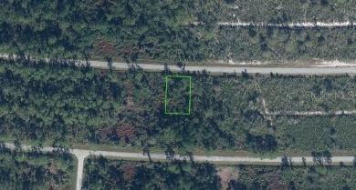 (private lake, pond, creek) Lot For Sale in Sebring Florida