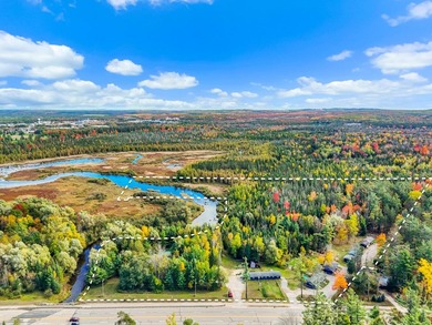 (private lake, pond, creek) Home For Sale in Grayling Michigan